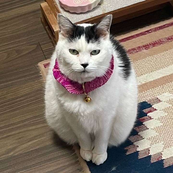 7bd24f63 fb1a 49f3 a410 01be5df69b0b 1767742484595