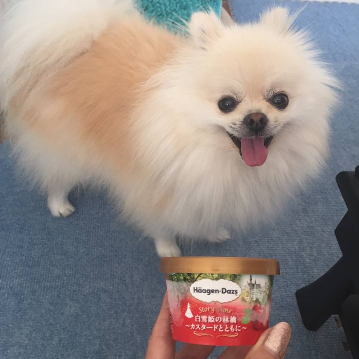 7bd2561f e28b 4a51 bd14 6051ab16d584 1539141571743