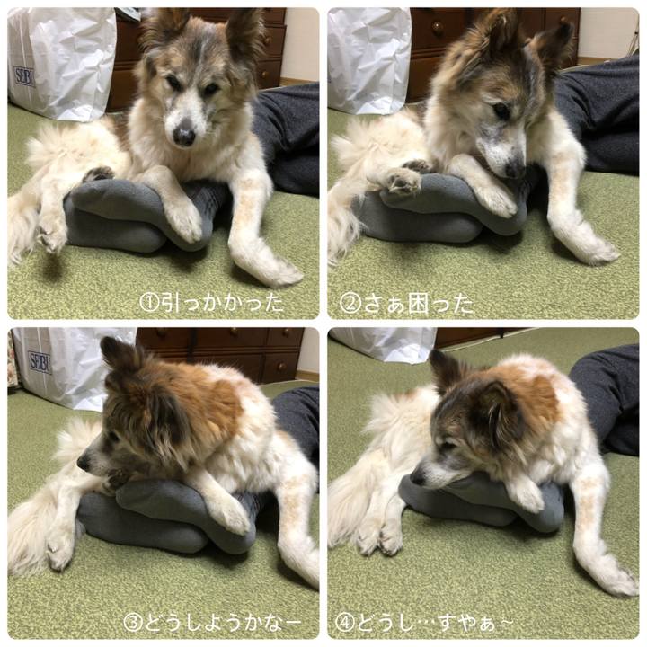 7bd2609c 9c67 48cd 942b 1aa34d477773 1544870379288