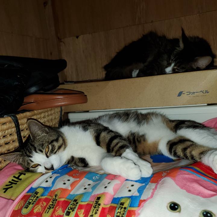 7bd26882 07b7 49d9 8e11 4e7600471fb8 1737309771501