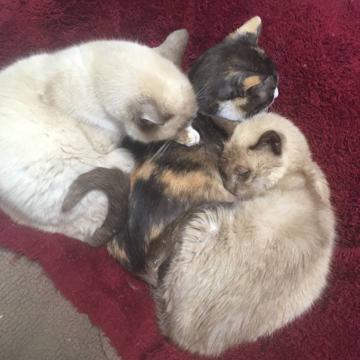 7bd2743d 78b2 4b3d 9050 b6d9bb75d855 1549851387727