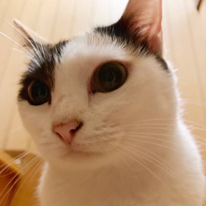 7bd28268 91af 430a 9143 7a52e0f24d5c 1538183540362