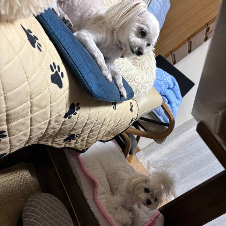 7bd2d48c e80e 4de1 a1d9 3cbf3c804088 1753451206622