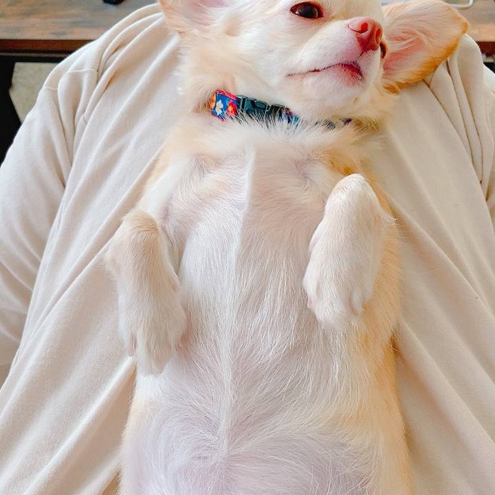 7bd2d8c9 9f9d 4f91 b313 c93ffae3814e 1631158051499