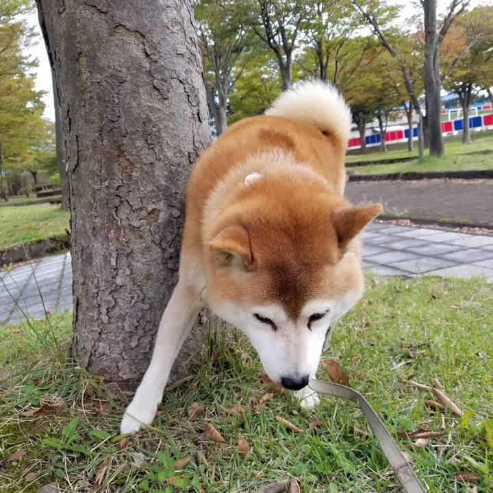 7bd2edc9 b80b 40b1 85b5 de919e8ee9b5 1634625095546