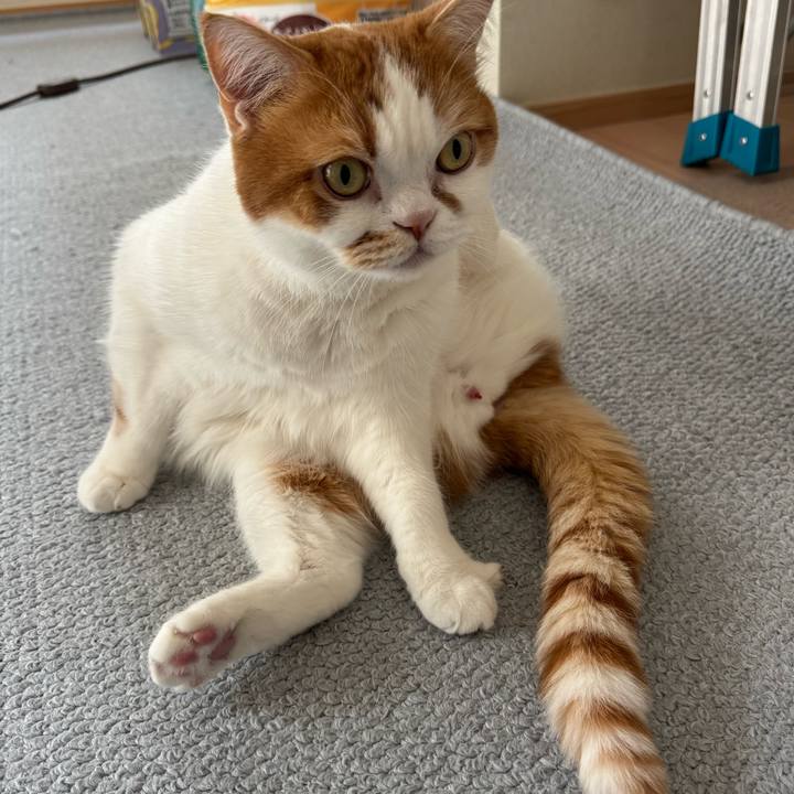 7bd2f6e3 9e04 493c 8b39 f3d3197f2a0c 1773887621145