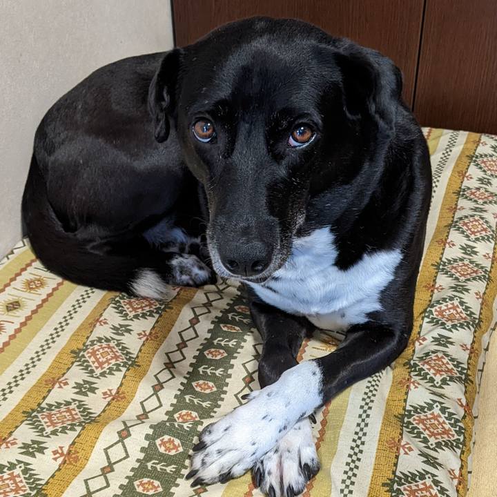 7bd33642 3924 49f1 a06f 5e462f02a7a0 1663928575842