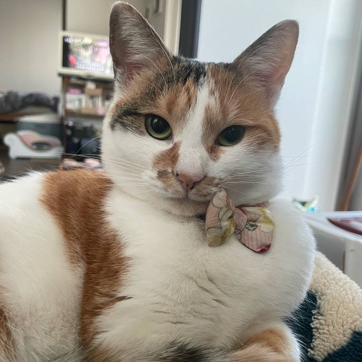 7bd33a9d d4b4 4790 bd3c 85800d2c4c0a 1640561751454