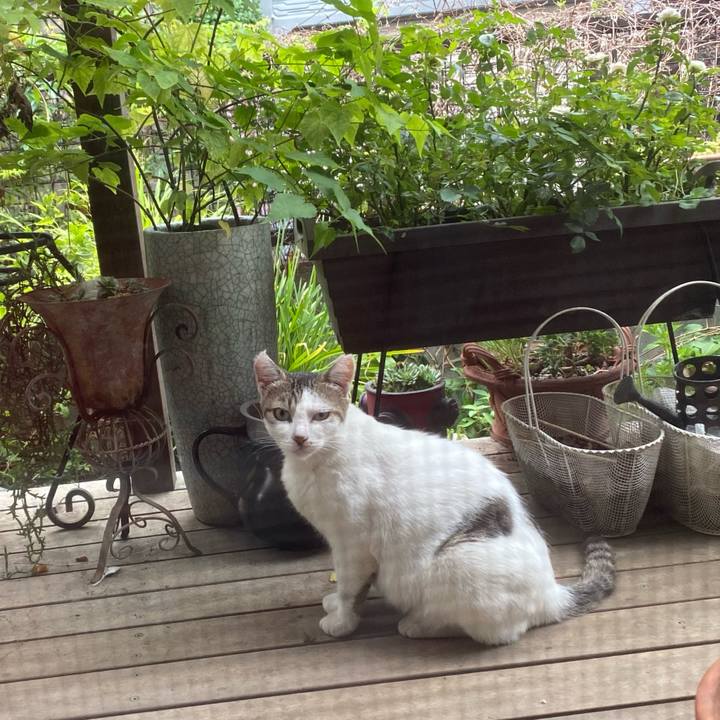 7bd340de 75eb 4cd9 8b6d a3362c01e4ab 1659571329378