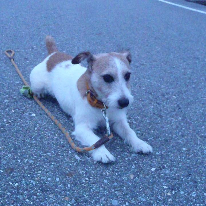 7bd34d6c 7cf9 4ec5 82ee abb71be5d570 1538474966521