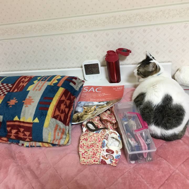 7bd35a0b 3a84 460d 8257 ffb16a593764 1517745493293