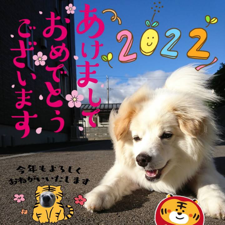 7bd35ddc f905 4c1a 8398 fd88797dea1e 1640962935717