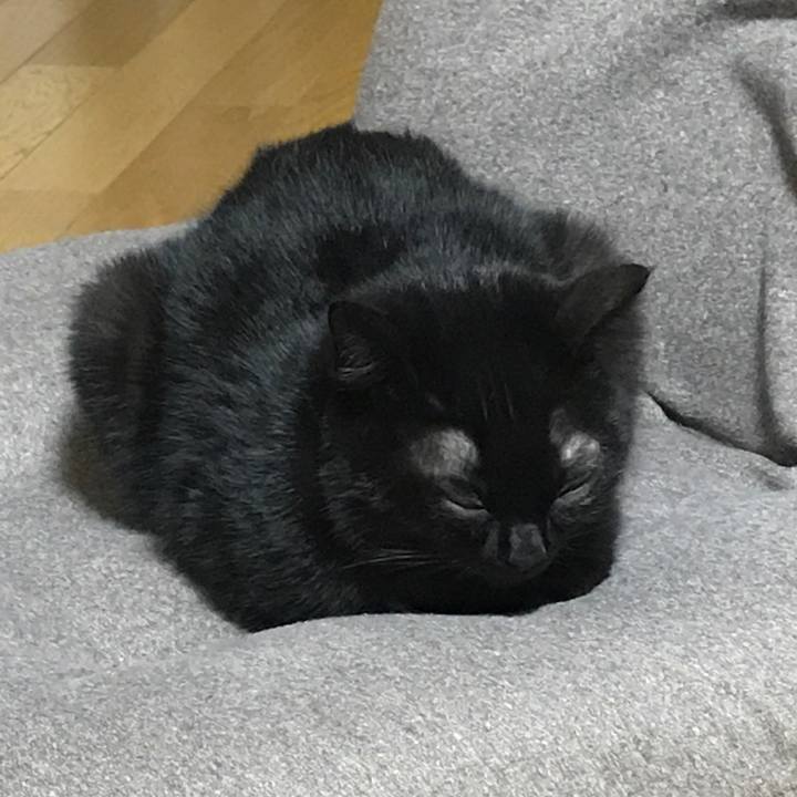 7bd385ef d65d 4521 bf26 18e2c1c44ad6 1515757853223