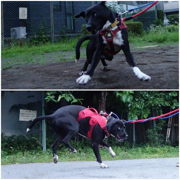 7bd3a2b7 4200 49f0 a136 64e96a0f0ec1 1592649025542