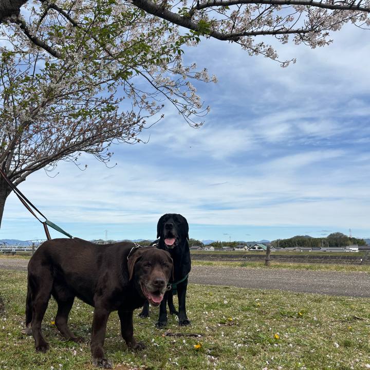 7bd3c7d0 bd88 46e9 af46 7b0c659b9e8c 1775567395736