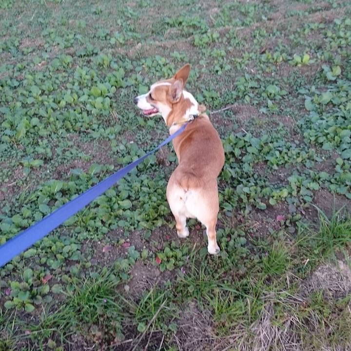 7bd3d29d 4086 4168 91a5 3823516d3187 1577175610496