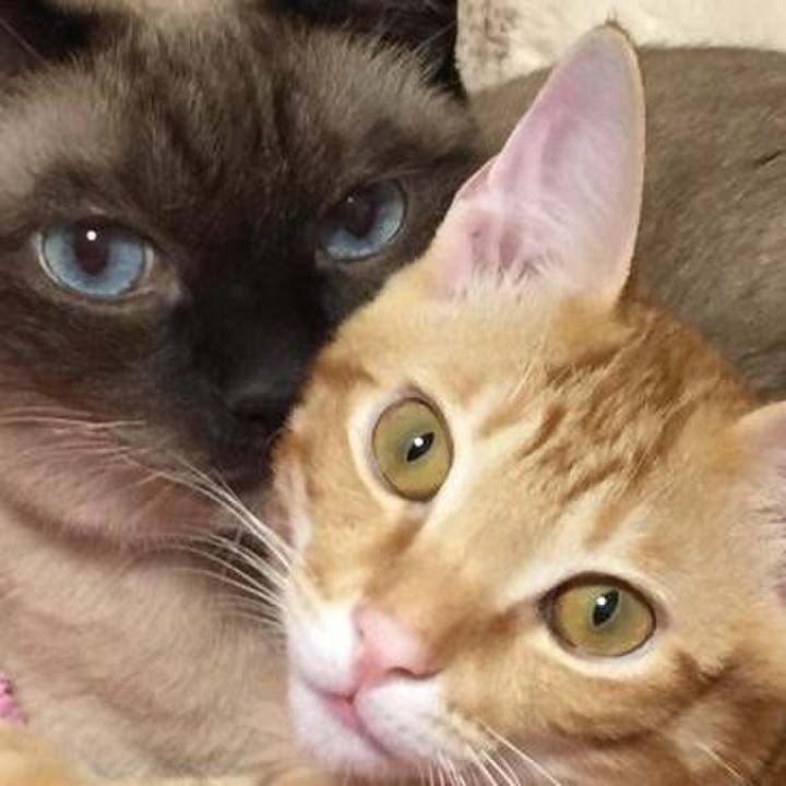 7bd43f52 d0a5 4a2d ab2c 82c405b19d2f 1518826882893