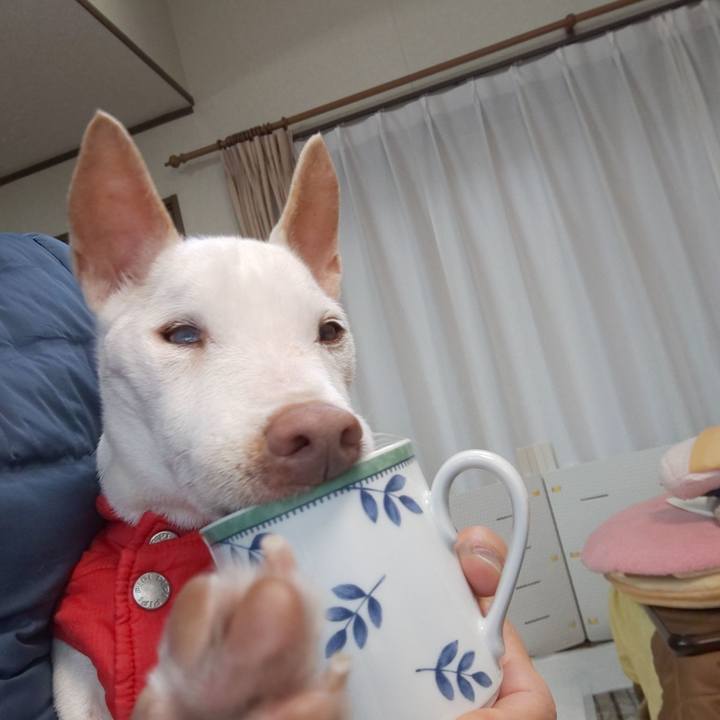 7bd451f2 5083 4c15 8ab2 d55cce3186b1 1580945589817