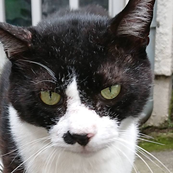 7bd4740d 5d68 41fe bf39 c8100bdea003 1567323090158