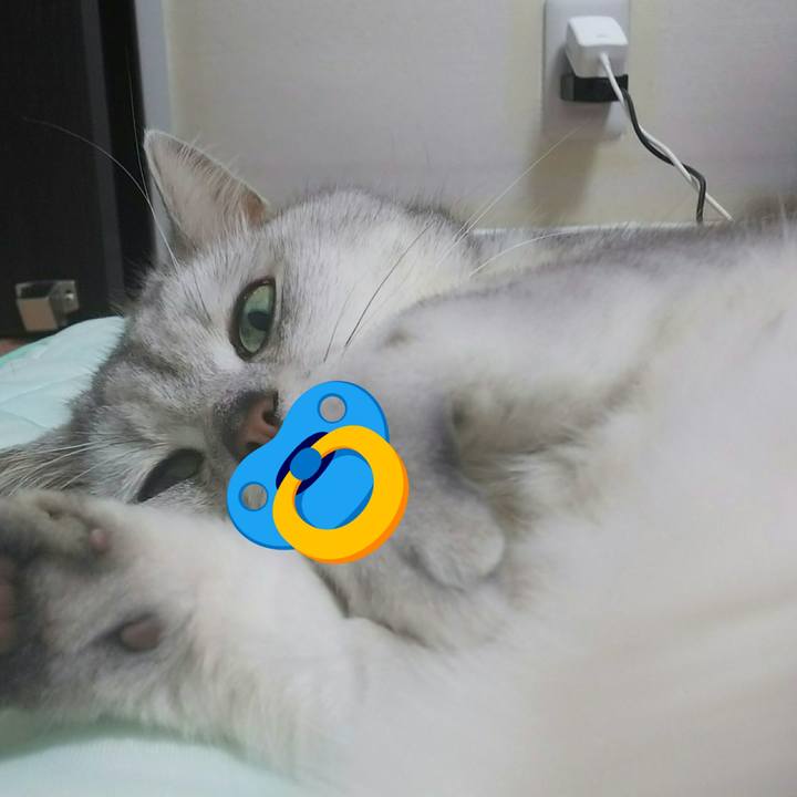 7bd496c3 1f53 4d93 a7f6 aaf2cc3aa32e 1527347550615