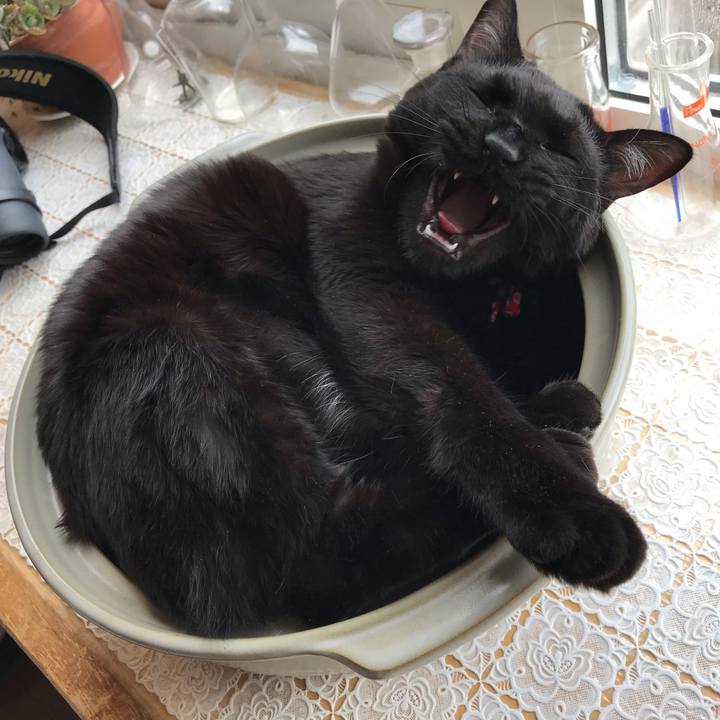 7bd4b73c 4a4b 4850 936f 47df3840ce93 1585000932418