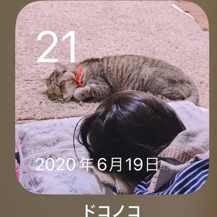 7bd524fc 19aa 475a 9471 e529af2fb155 1687352712551