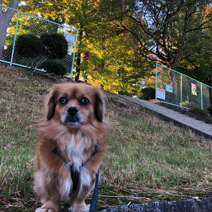 7bd54fd2 c236 4fc4 9c4c eaba0824a457 1570572486036