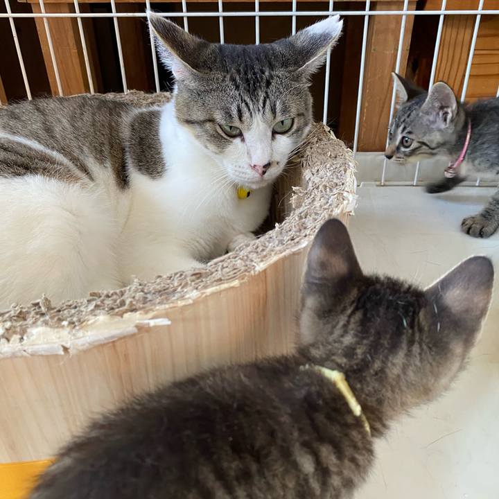 7bd5772f 56ed 49c5 8a02 ab0f6ef23371 1720771038589