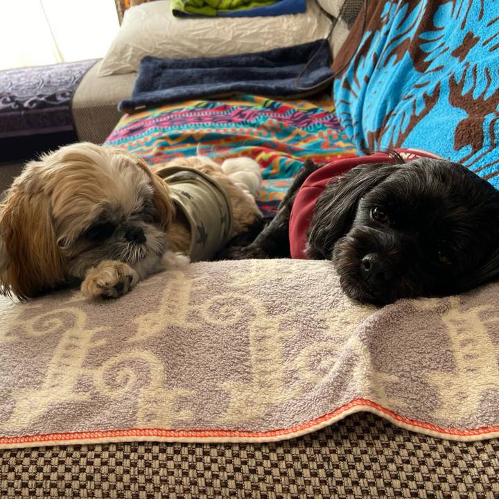 7bd5928c f976 4b87 89b3 d2e1308fb3e2 1641625256919