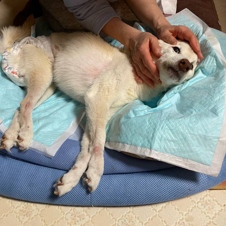 7bd65575 689d 4342 b809 2b5a312342d2 1679062497557