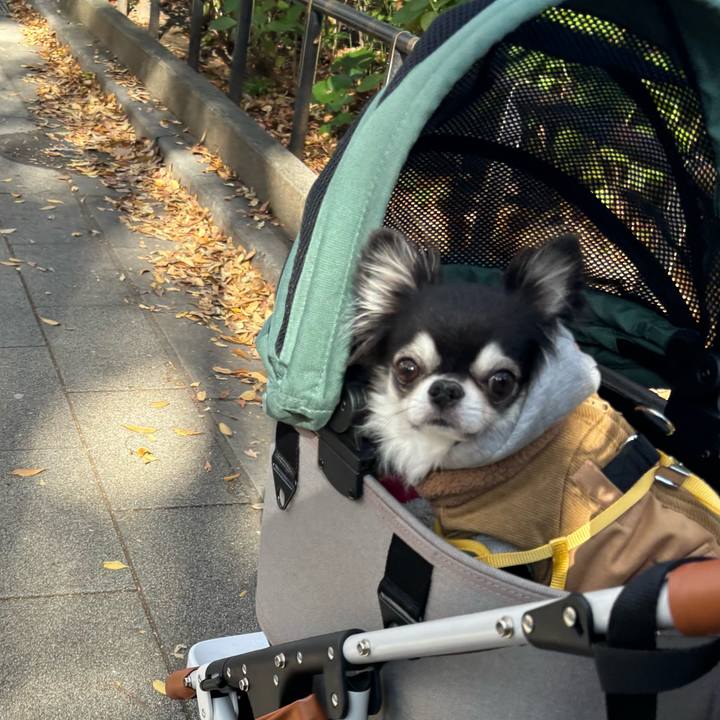 7bd6585e cae6 454f 80ac 8651ed717a28 1732464690781