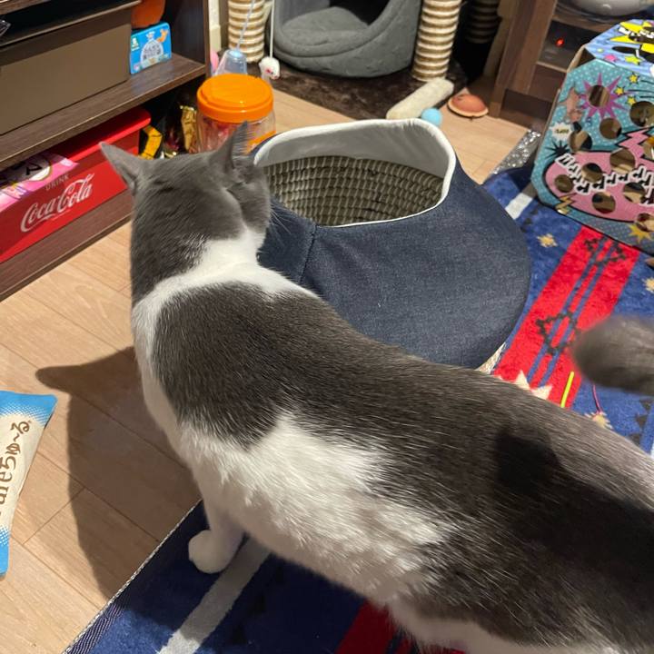 7bd67d6c 1524 4e3c 892c 44d8e1424aca 1671626935662