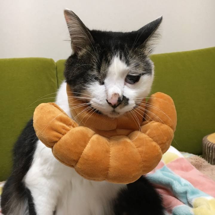 7bd69773 6c55 482e bcc6 7803d7857686 1508224263460