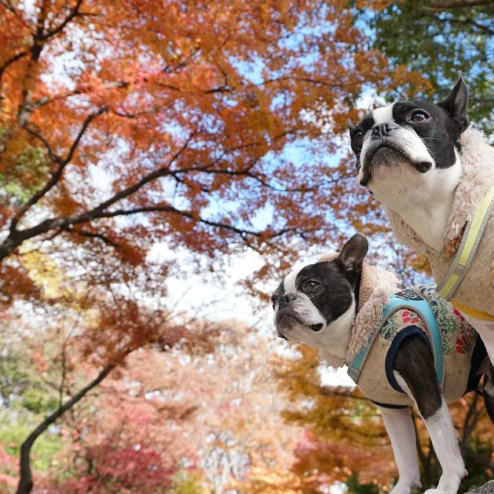 7bd6aa6a aabc 4a56 9027 879e427d1ed4 1512101486646