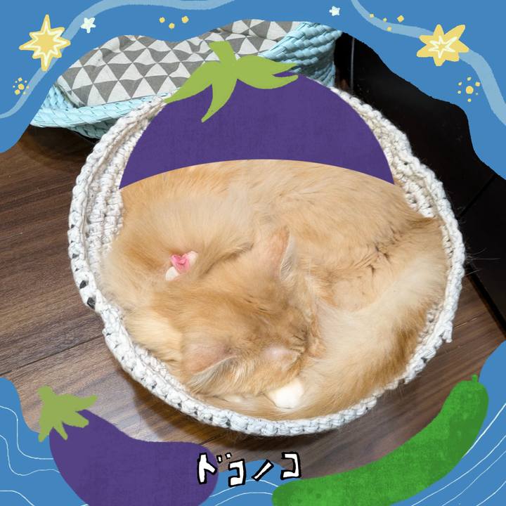 7bd6b04d 432f 4df4 a2fc 5cffc84cbcab 1755091123492