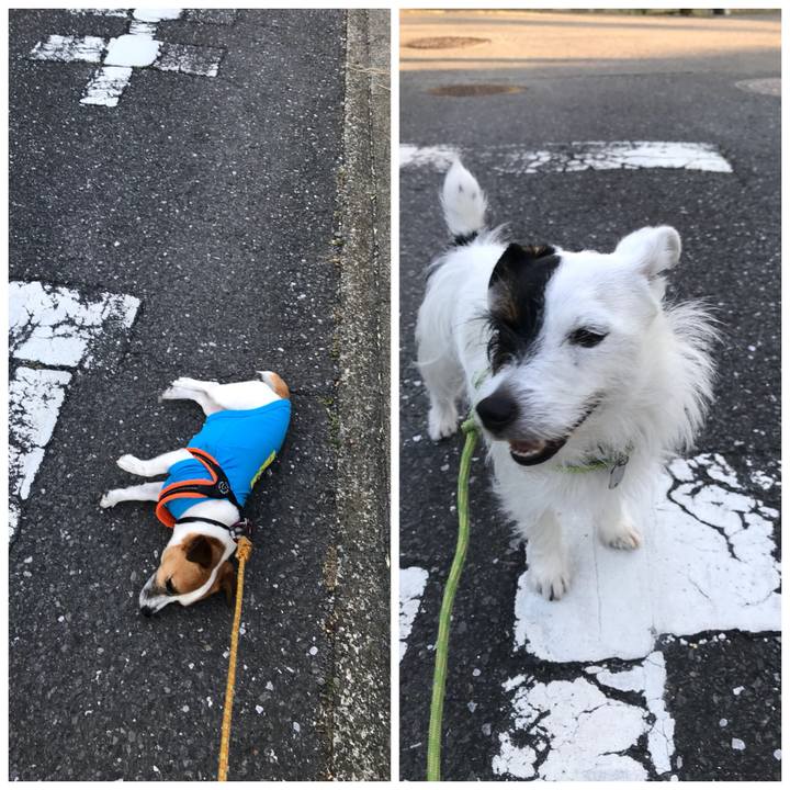 7bd71f06 9e5a 4eed 8d3a 6b47b925d06d 1528104105180