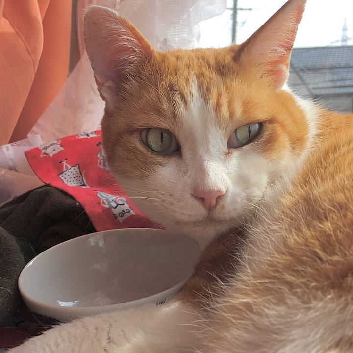 7bd73368 1996 4b44 9446 bdda15e8efee 1582786177751