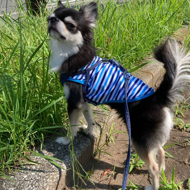 7bd7768a 2b30 4cb0 a64a baa92e6a7a7f 1687660269962