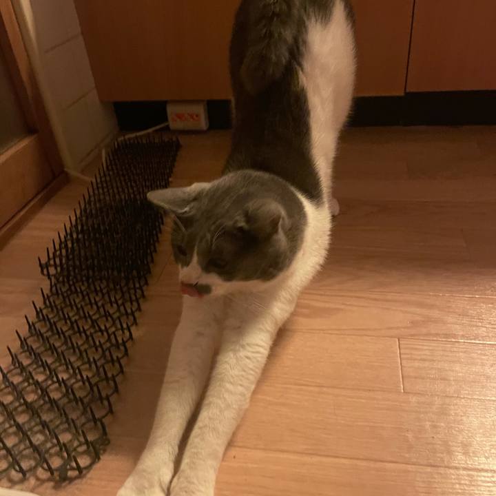 7bd7b77c 3070 477c 8bd8 0e6092f6fcef 1630661084047