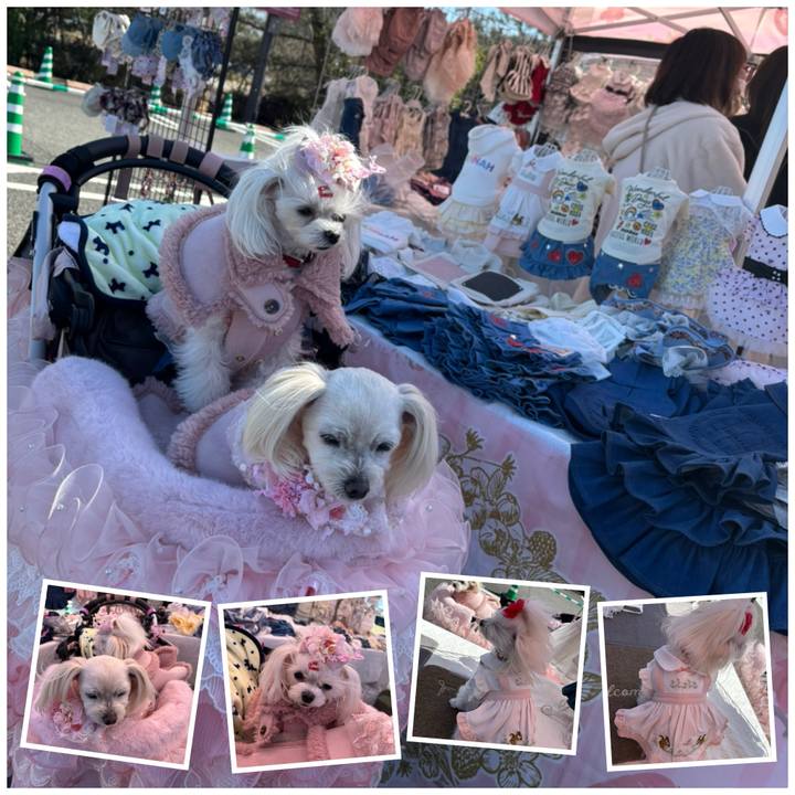 7bd7ff2f 0db3 496d ac56 c4c6b5c30446 1773481134783