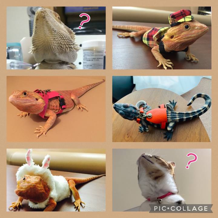 7bd8050f 5b2f 4510 90ac 47acbc0dd44d 1707391333936