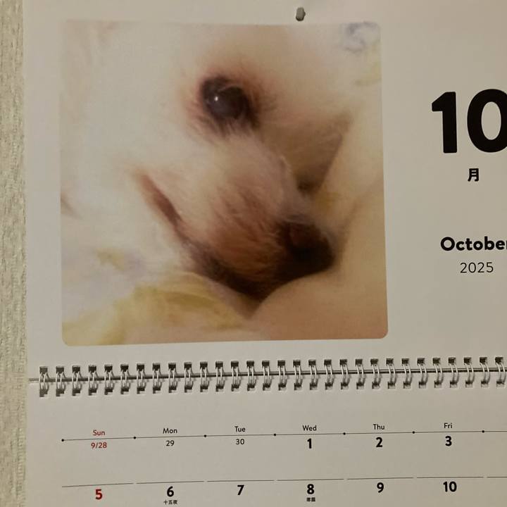 7bd811aa 114d 494e bb1d 57fc2e6b91ca 1759675465374