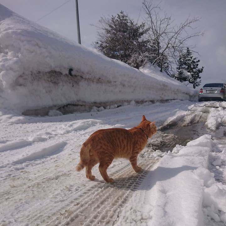 7bd84945 258e 41f1 8a94 fb41dd946d0b 1645073231826