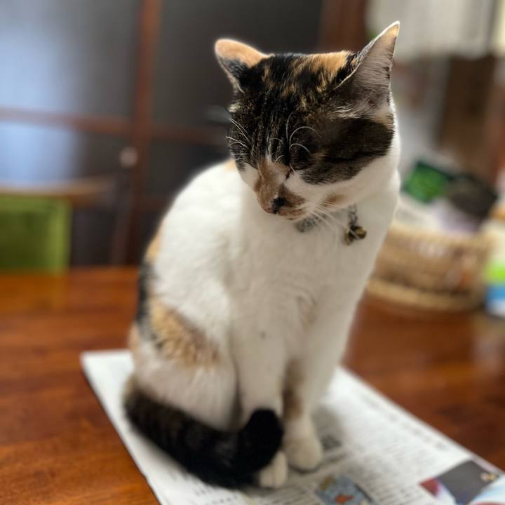 7bd855ad 3a88 43b5 8fcb 6358aee2031a 1768780975521