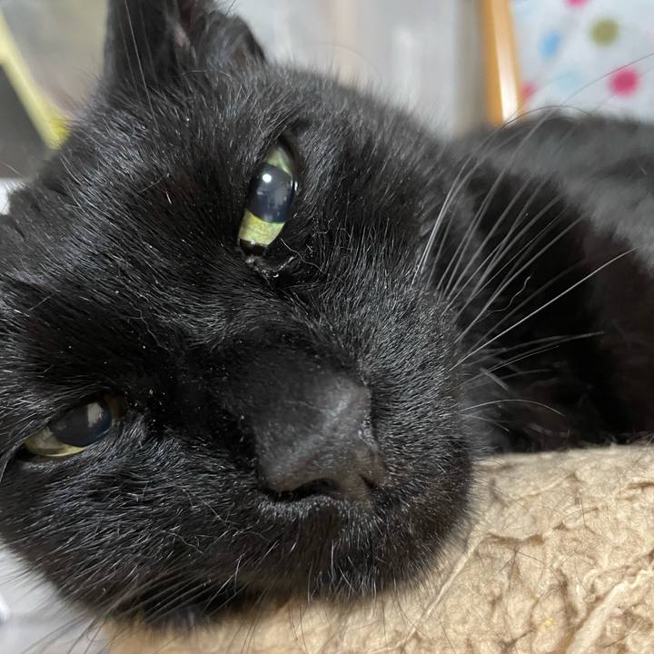 7bd8668b f1ea 4376 b2b7 30ccdbea2bf0 1759063309213