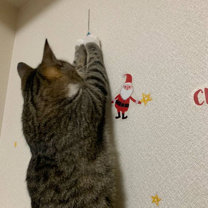 7bd87b53 55d0 4b9b 8601 1c7b00fadc65 1575418302433