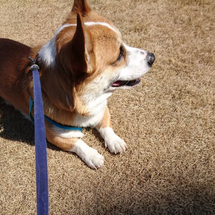 7bd8810c 8422 4343 a675 e8821dda45f3 1582770034684