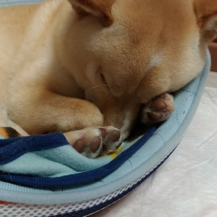 7bd89025 da6e 4070 806b d2599055c1b9 1523363107083