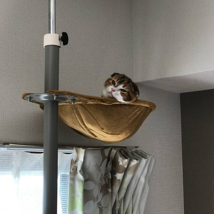 7bd89431 d42f 4cd7 960a a47c7a6d896d 1510211595182