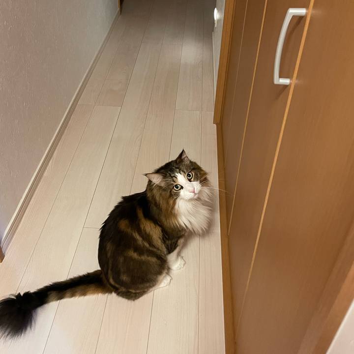 7bd8bad2 ec20 4937 9565 0138c9e95ca4 1726516284459